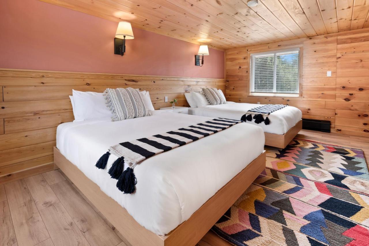 Wolfjaw Lodge Wilmington Buitenkant foto